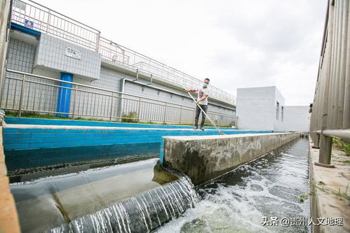 贵州毕节 水处理保障草海水源补给