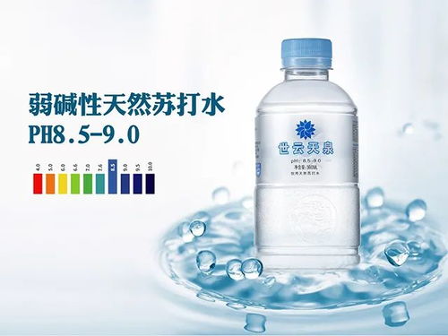 弱碱性天然冷矿泉水世云天泉煮粥,是一种怎样的体验