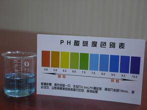 关注健康,从饮水开始