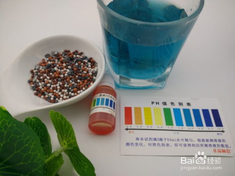 如何利用咔波呒淋球做出一杯弱碱化的罗麦派水